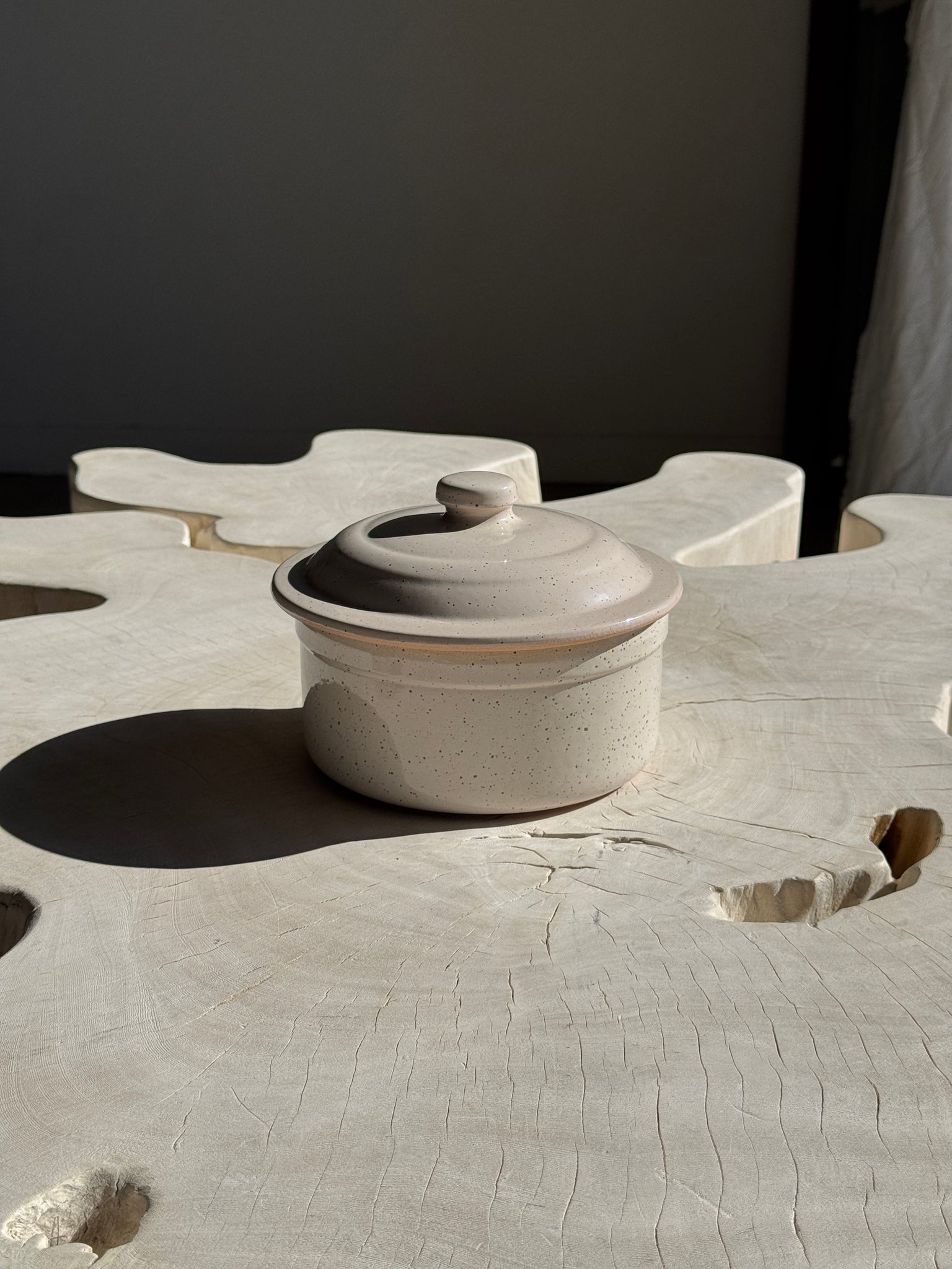 Cocotte blanche mouchetée Digoin France D19