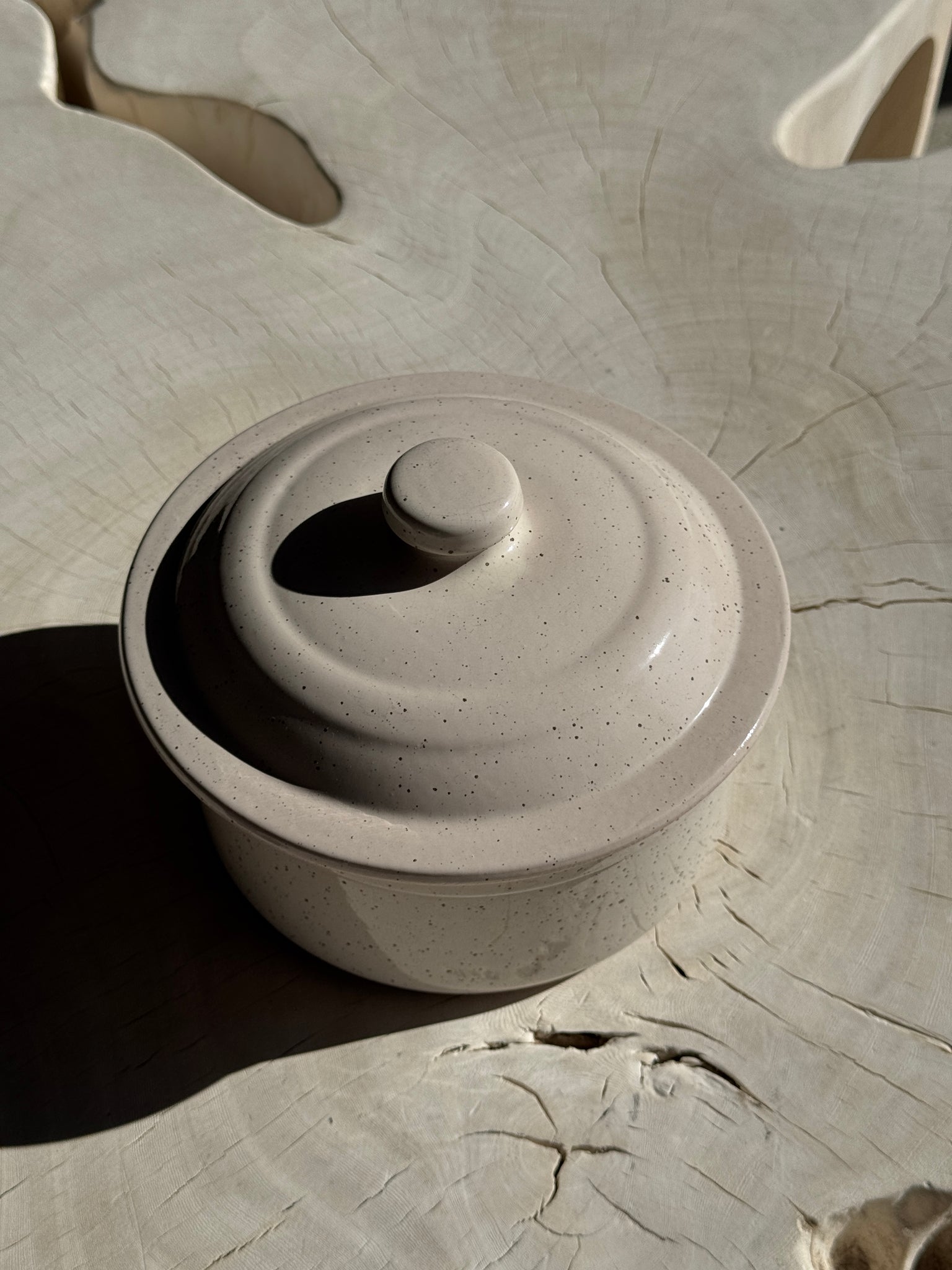 Cocotte blanche mouchetée Digoin France D19
