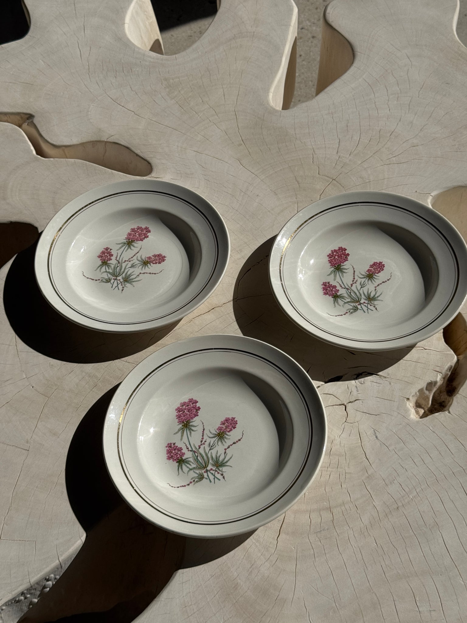Lot de 3 assiettes creuses Moulin des Loups à motif de fleur rose et liseré doré D23