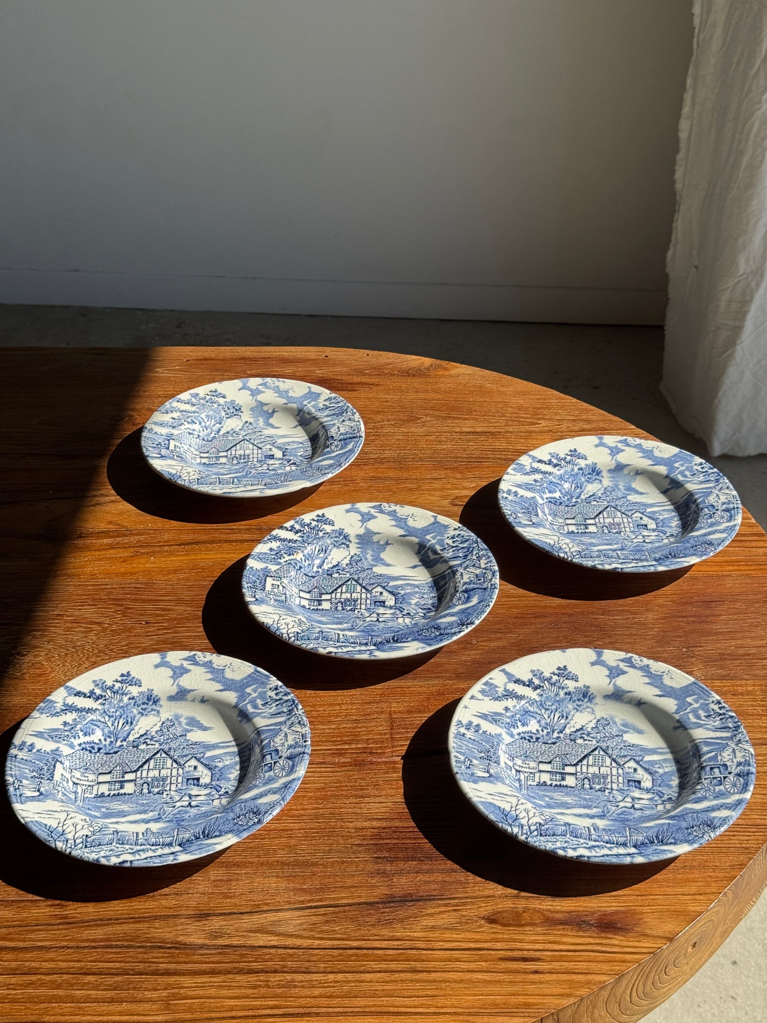 Lot de 5 assiettes anglaises bleues D23