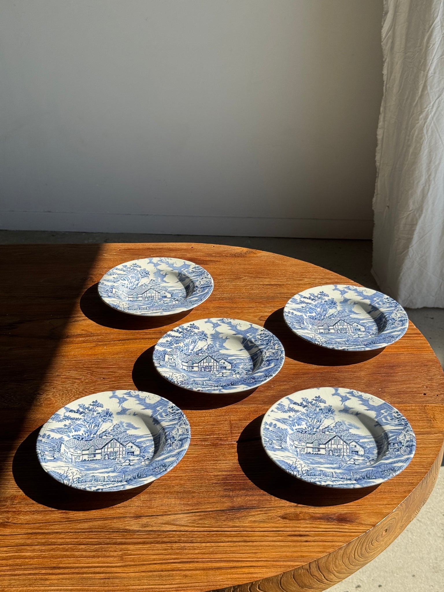 Lot de 5 assiettes anglaises bleues D23