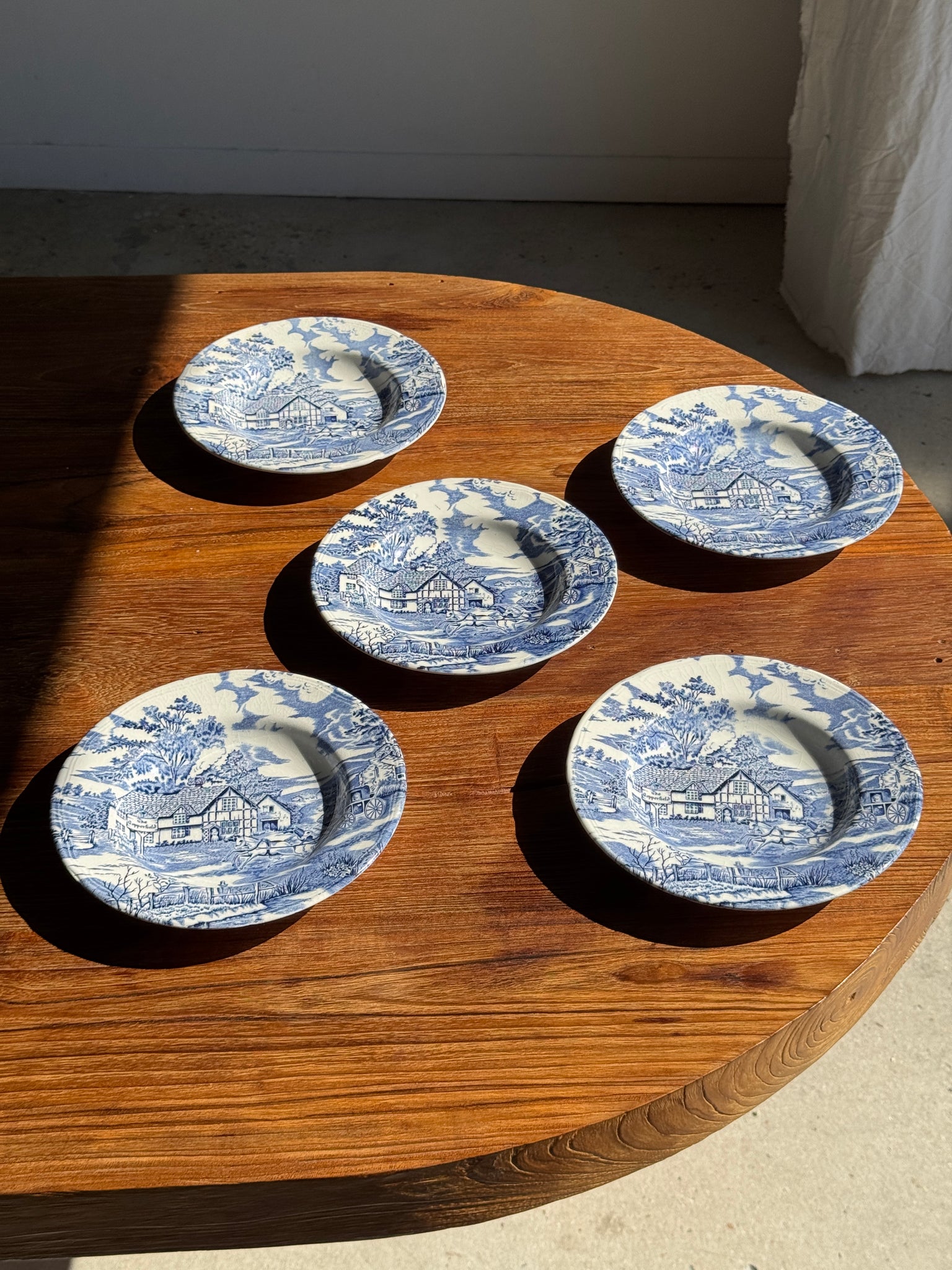 Lot de 5 assiettes anglaises bleues D23