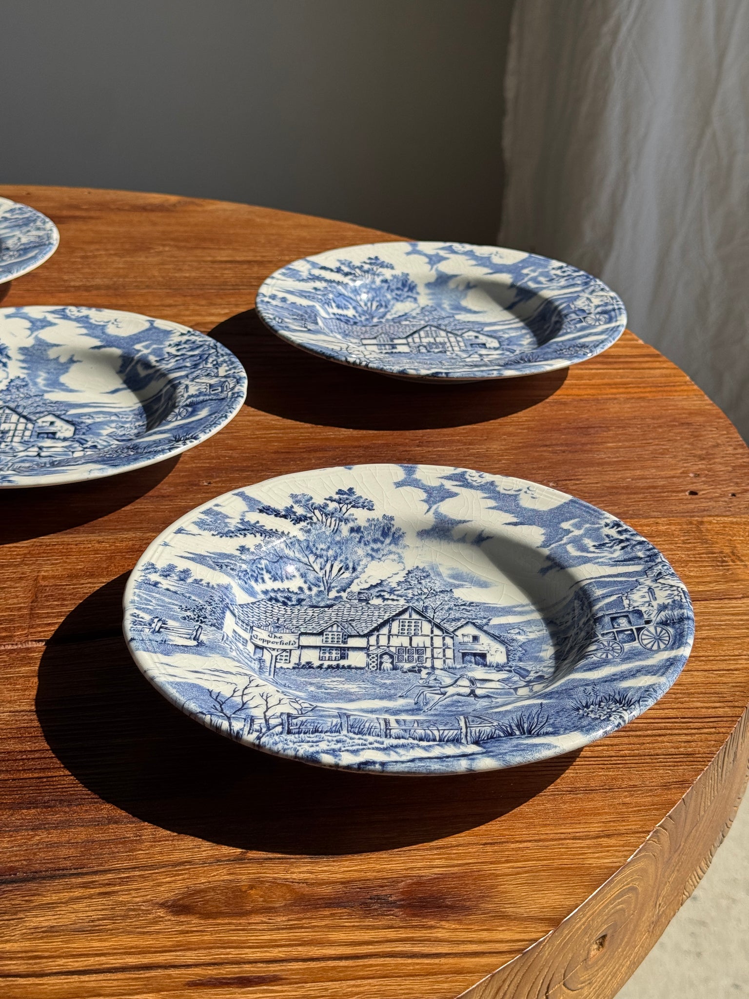 Lot de 5 assiettes anglaises bleues D23