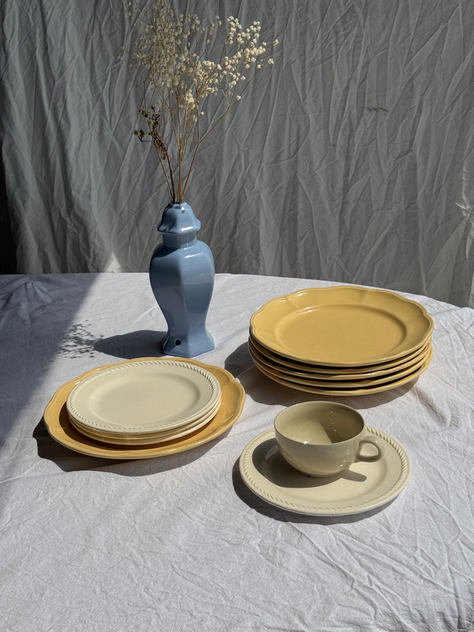 Lot de 6 assiettes jaunes corolle D27