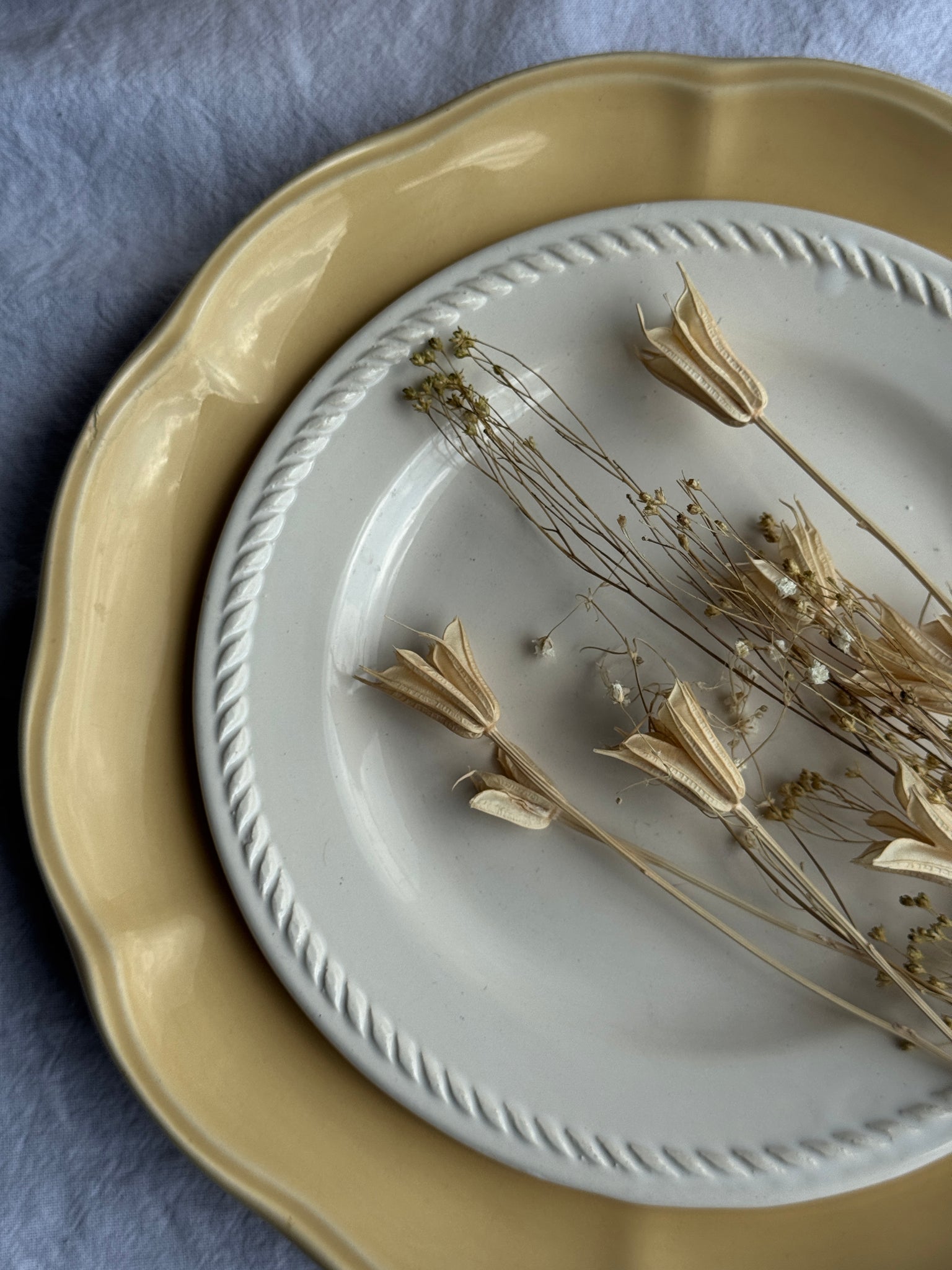 Lot de 6 assiettes jaunes corolle D27