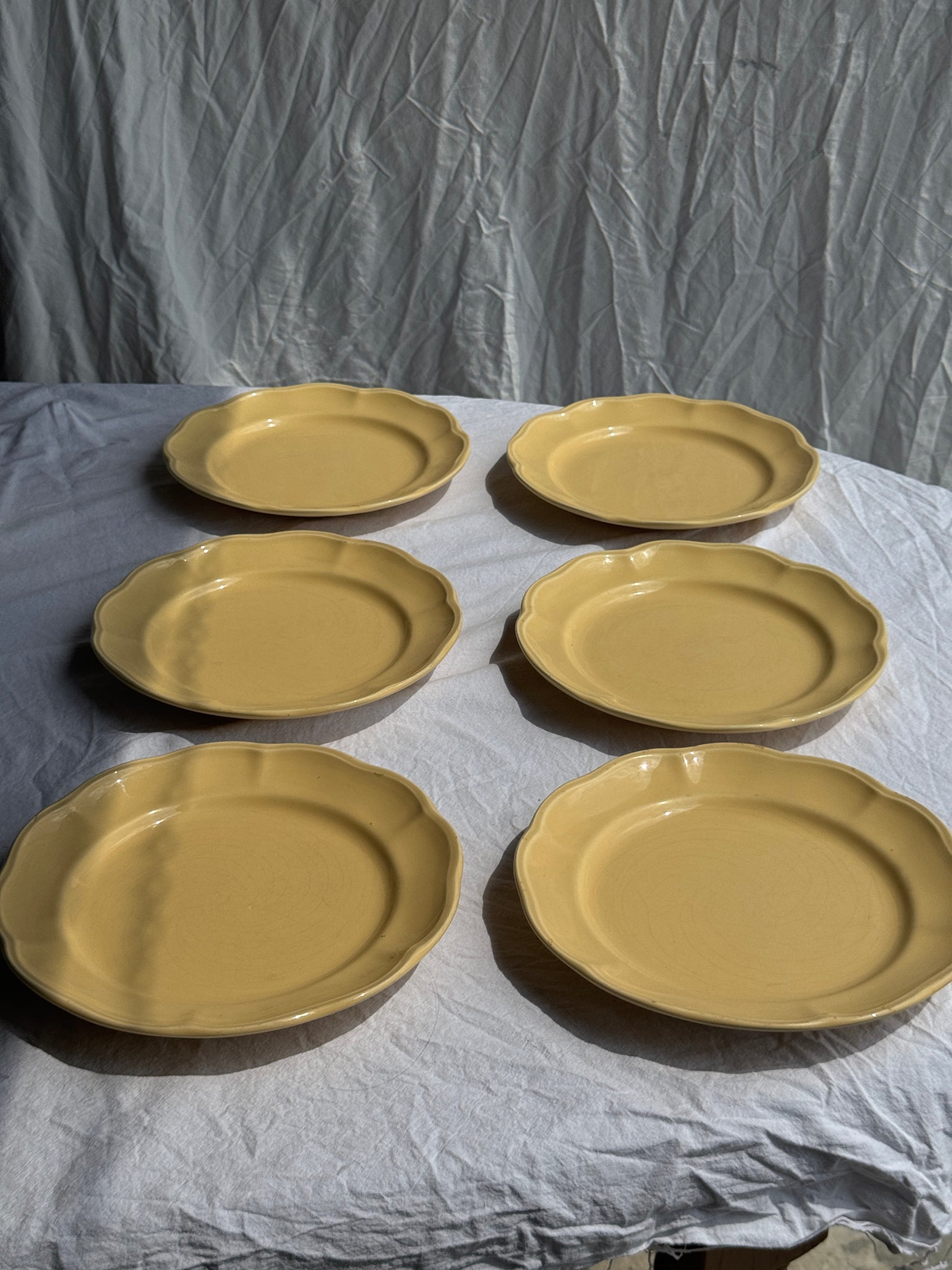 Lot de 6 assiettes jaunes corolle D27