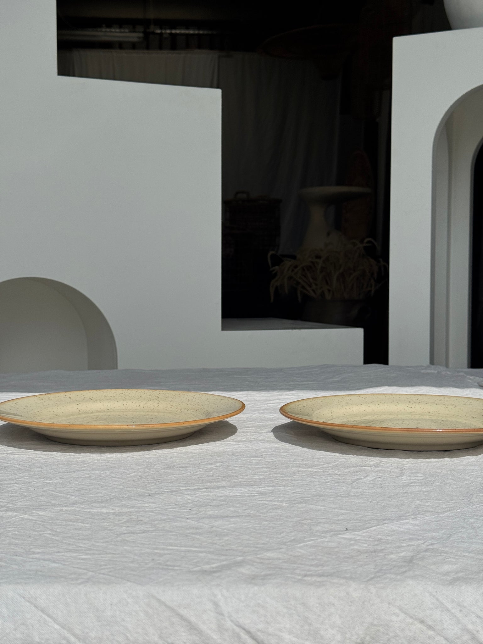 Lot de 2 assiettes en grès blanc moucheté D24,5