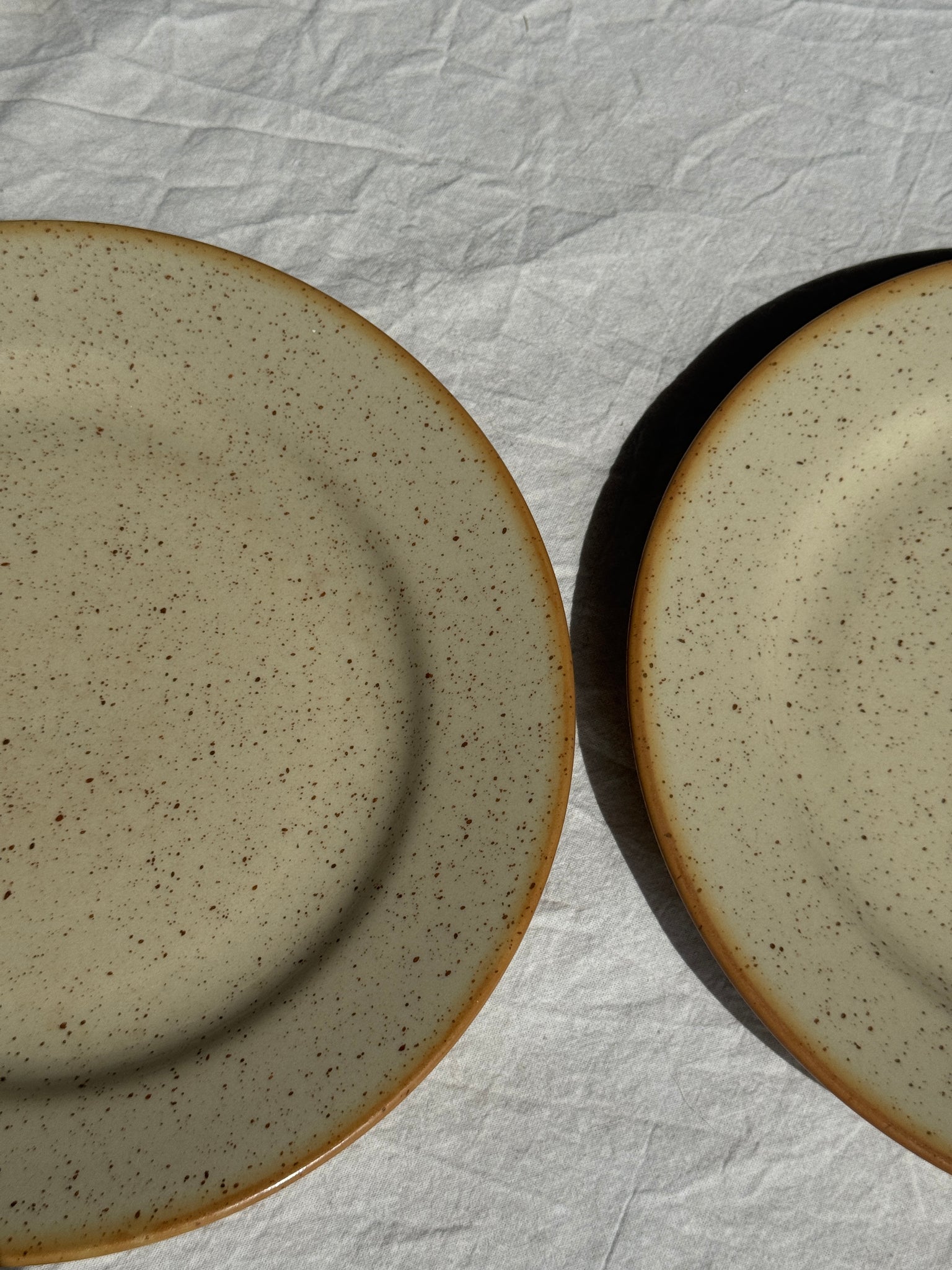 Lot de 2 assiettes en grès blanc moucheté D24,5