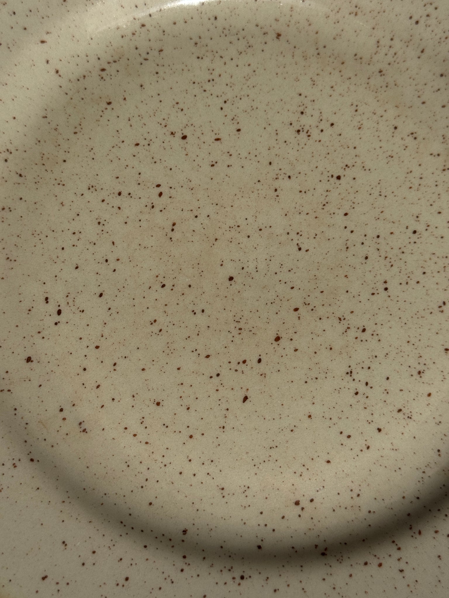 Lot de 2 assiettes en grès blanc moucheté D24,5