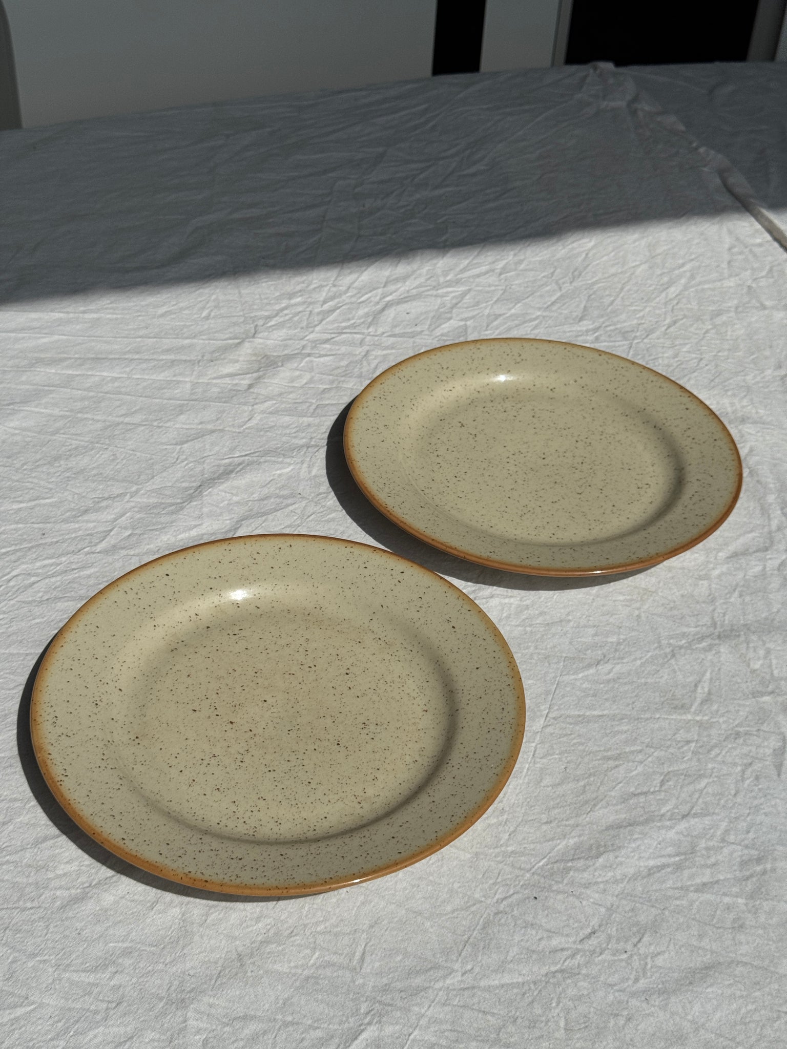 Lot de 2 assiettes en grès blanc moucheté D24,5