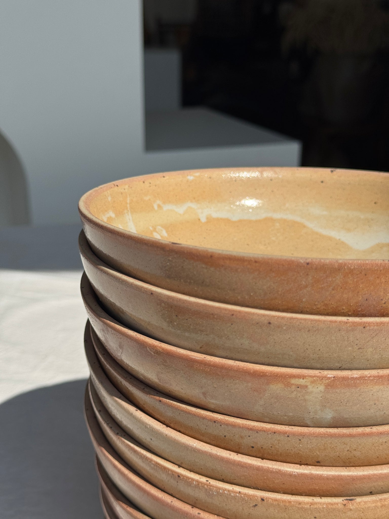 Lot de 12 assiettes creuses en grès beige D19,5