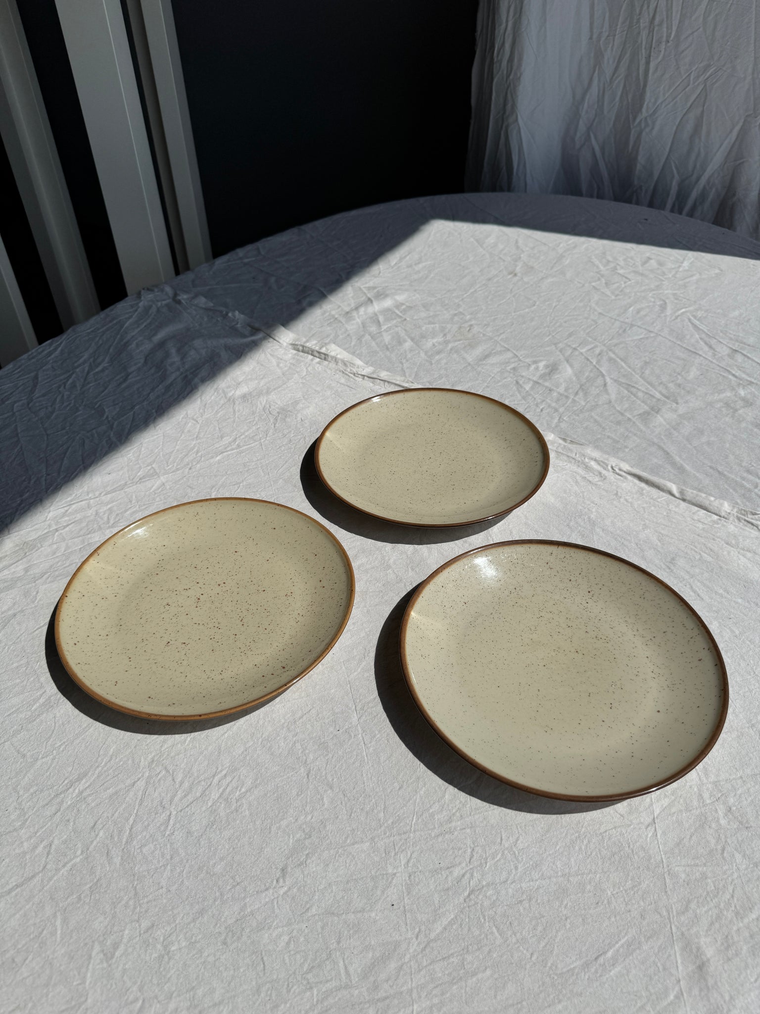Lot de 3 assiettes en grès blanc moucheté D24