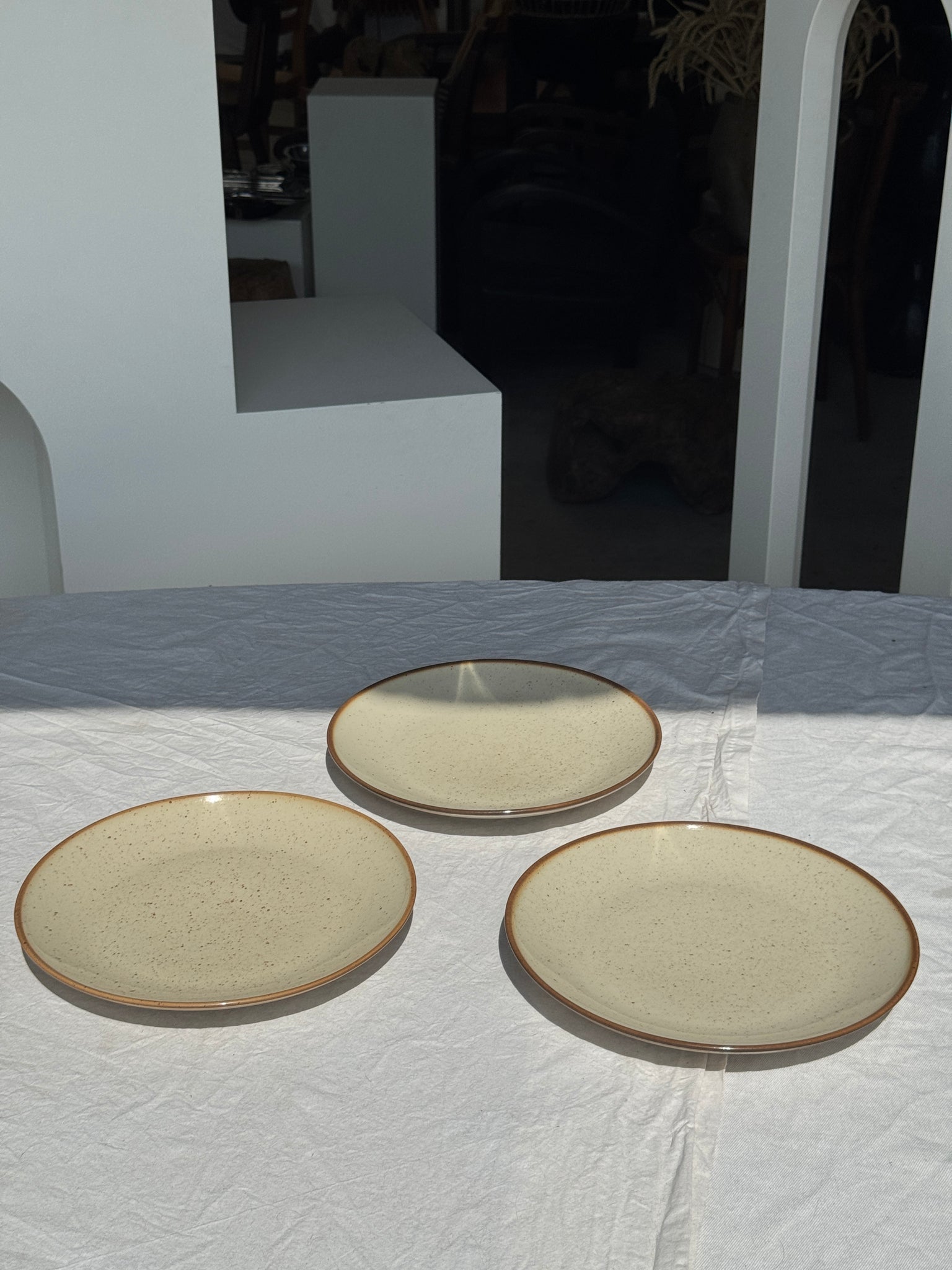 Lot de 3 assiettes en grès blanc moucheté D24