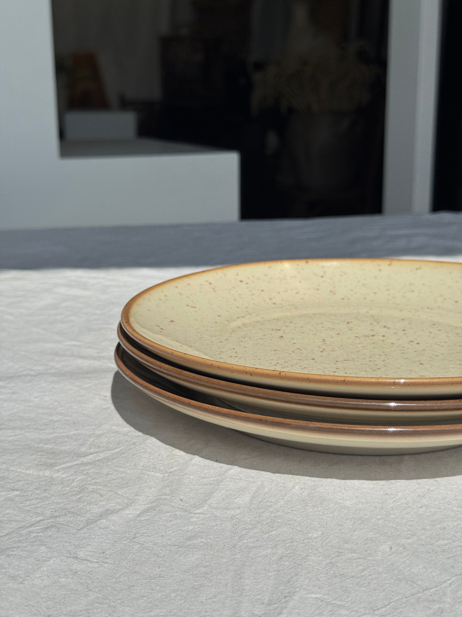 Lot de 3 assiettes en grès blanc moucheté D24