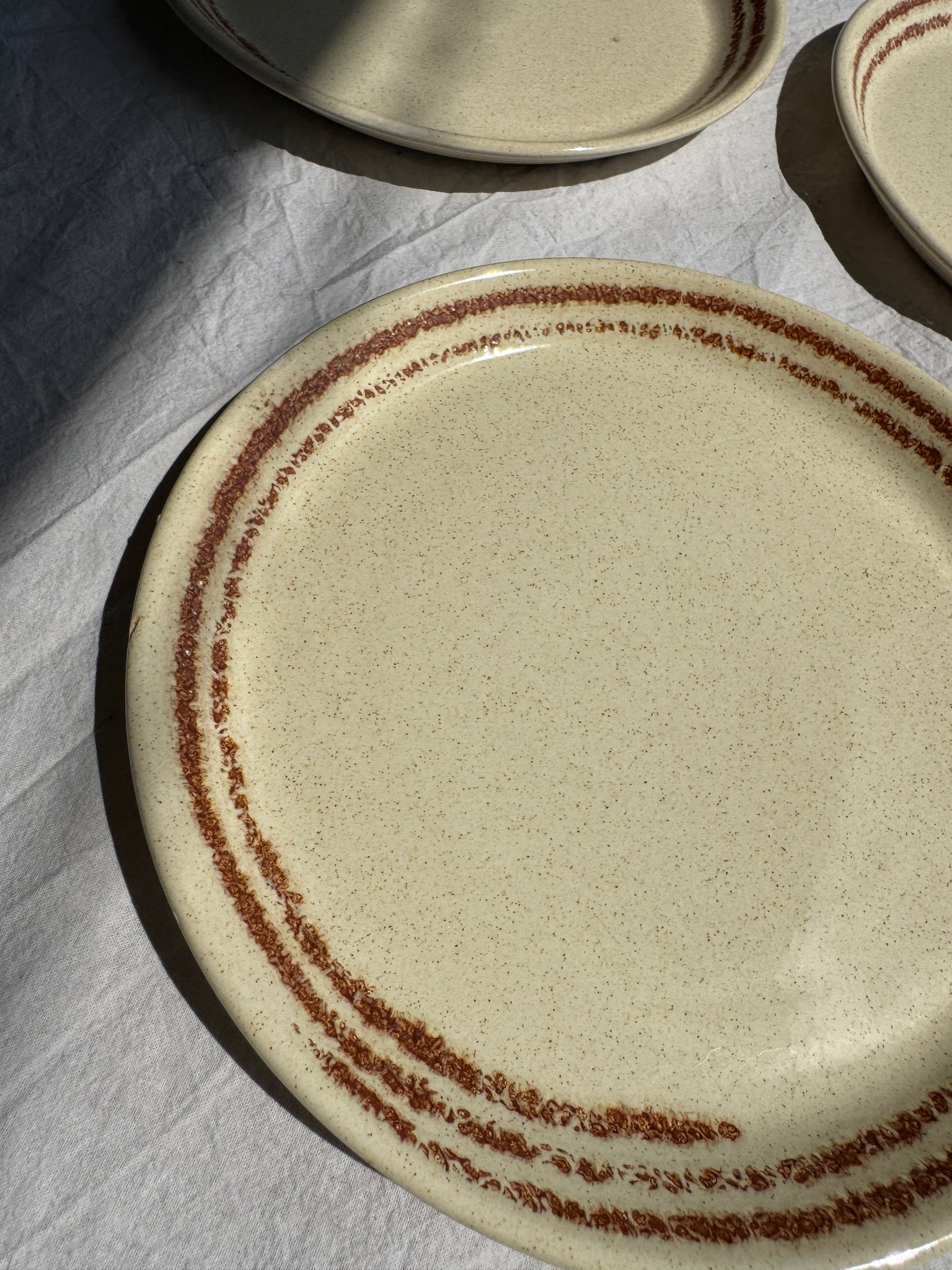 Lot de 11 assiettes en grès blanc liseré brun D24,5