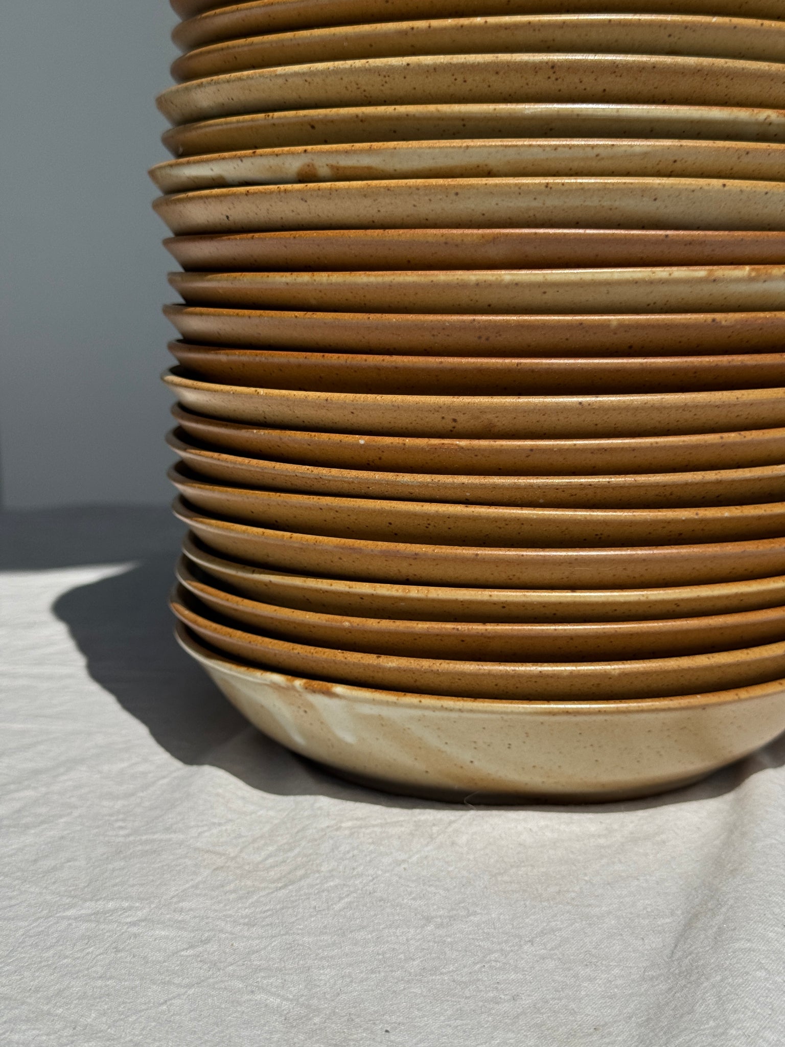 Lot de 29 assiettes creuses CNP village France D19