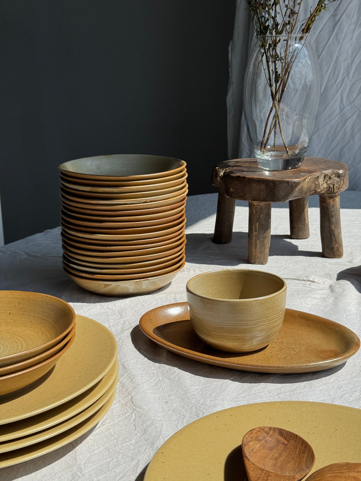 Lot de 29 assiettes creuses CNP village France D19