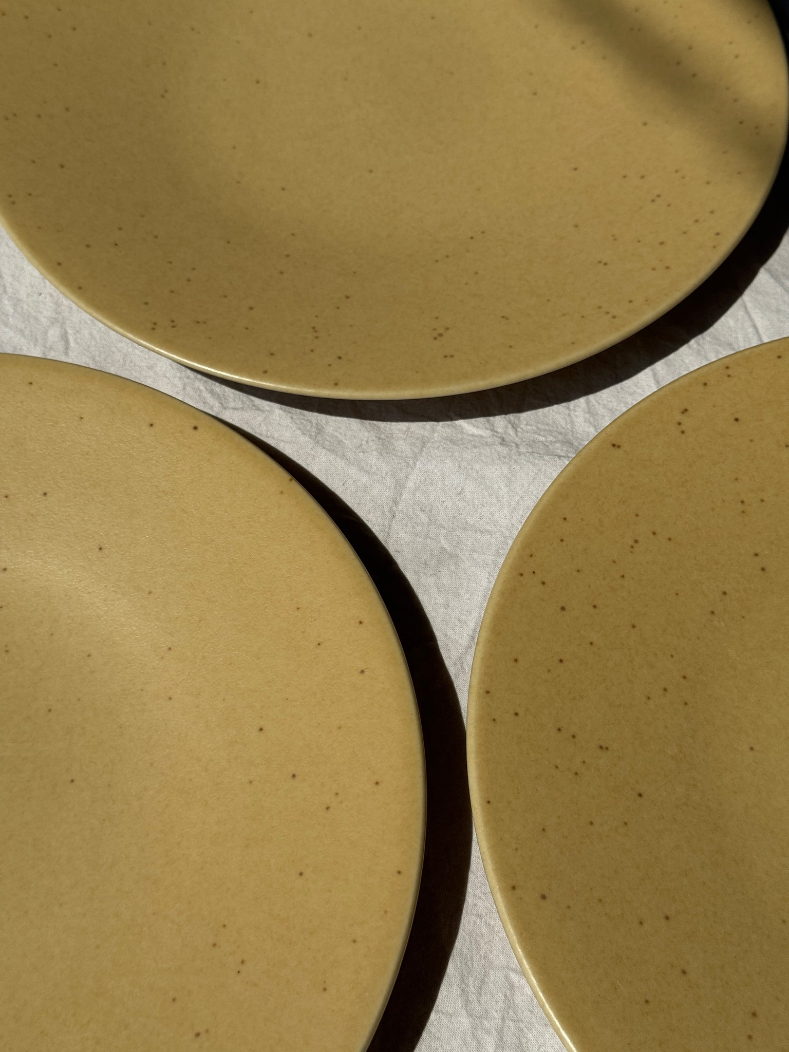 Lot de 6 assiettes en grès véritable D26