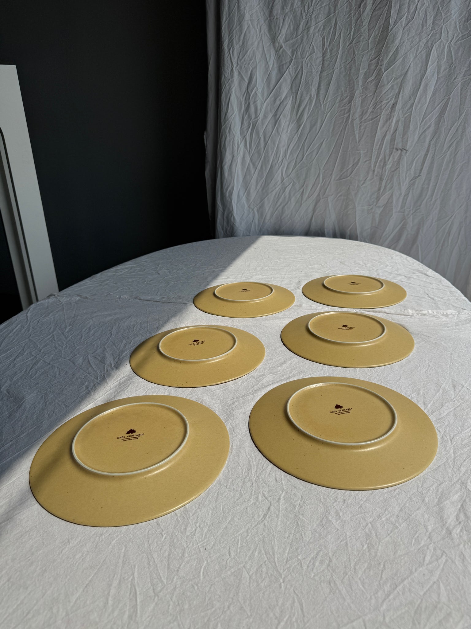 Lot de 6 assiettes en grès véritable D26