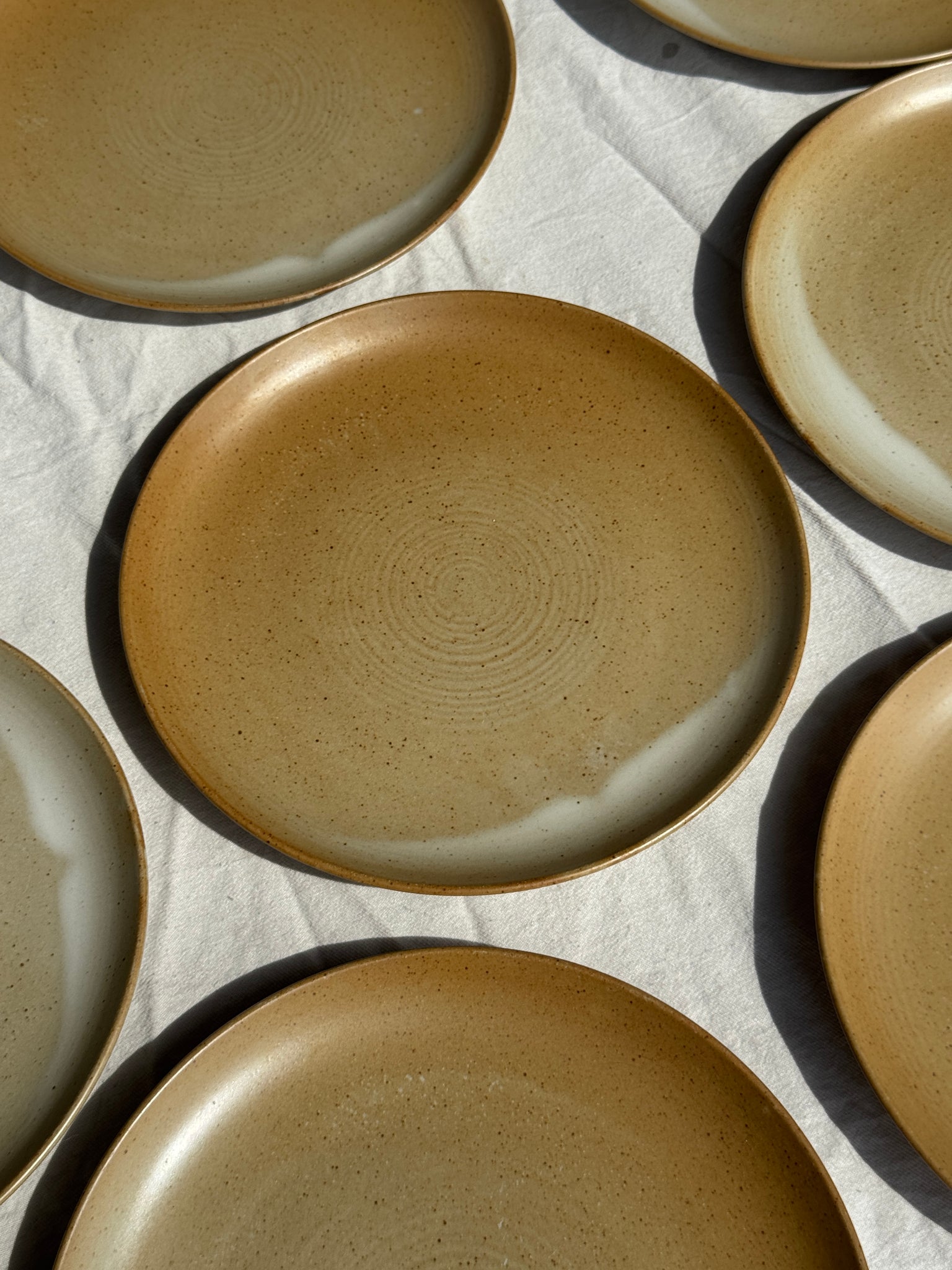 Lot de 6 assiettes en grès Village France D24