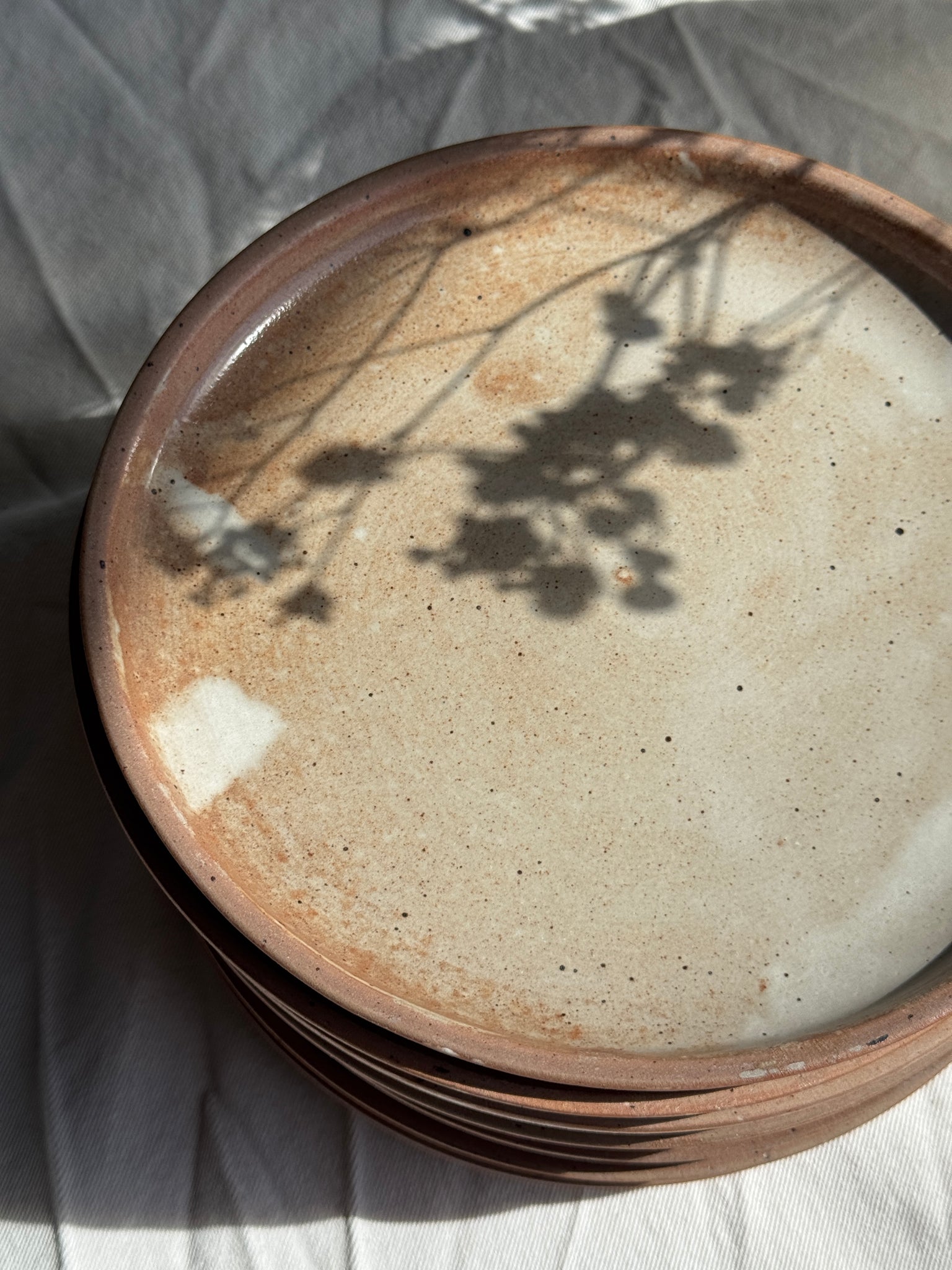 Lot de 11 assiettes en grès beige épais vintage D22,5