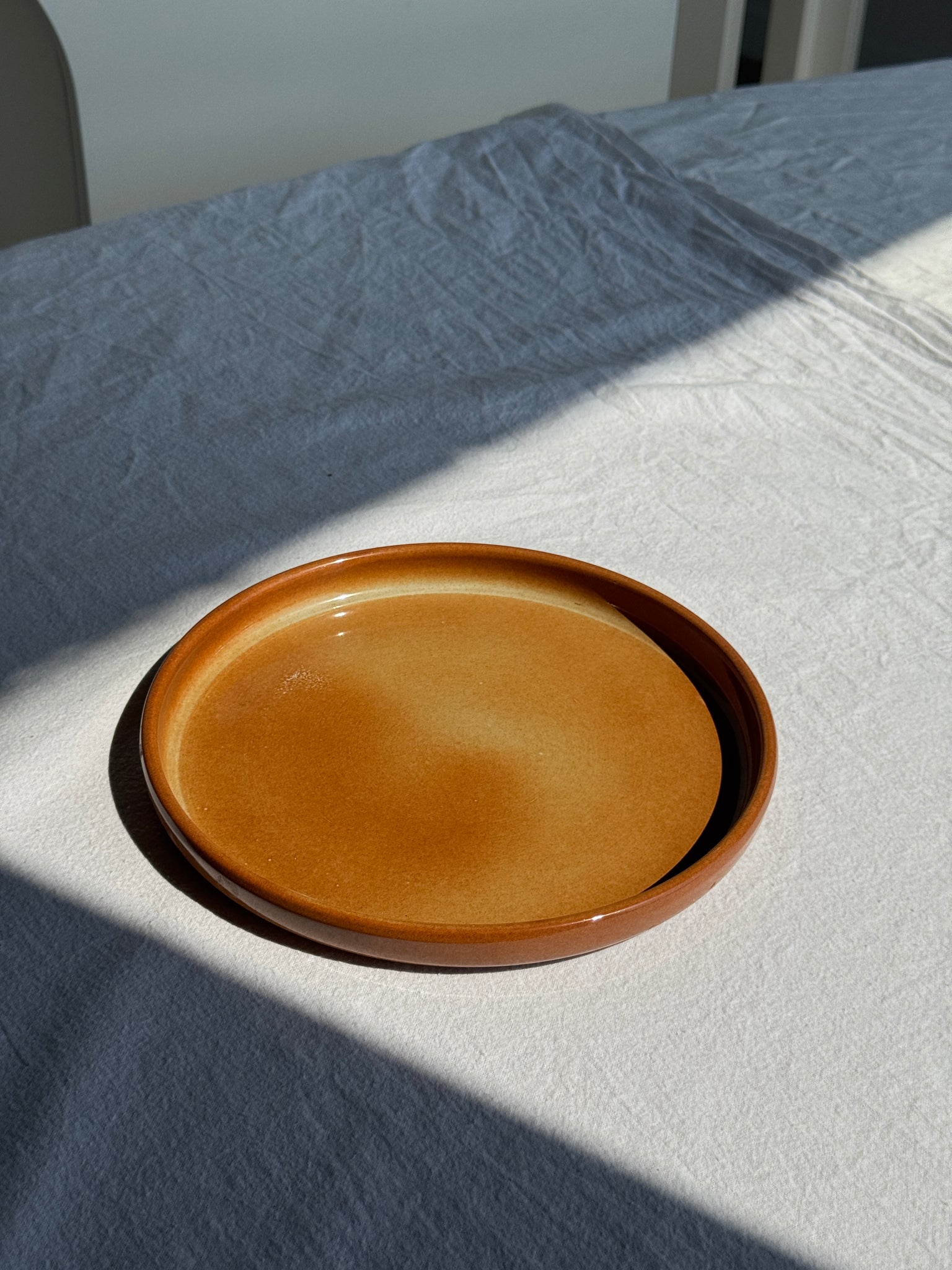 Un plat ou une assiette en grès D23,5