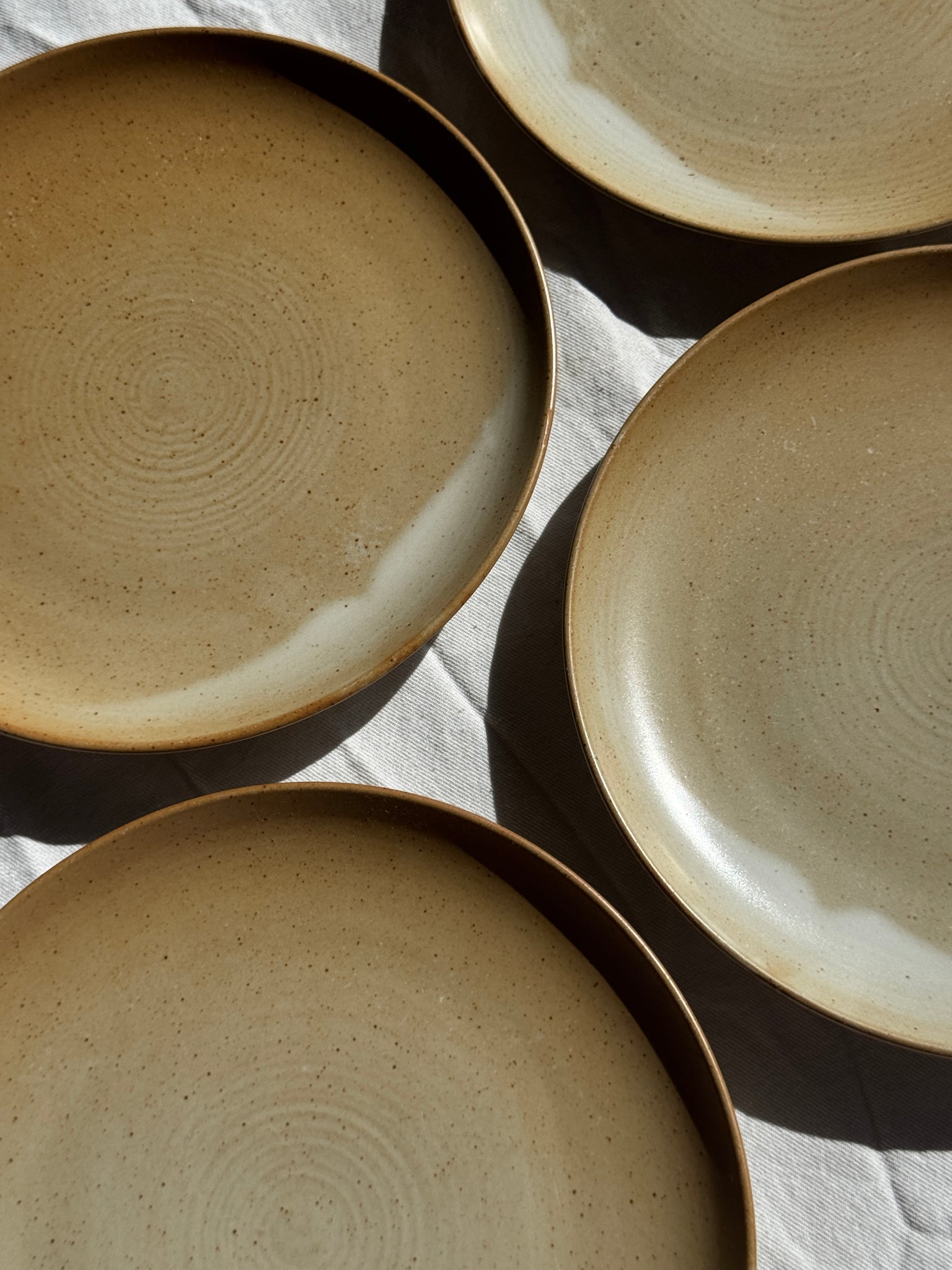 Lot de 6 assiettes en grès Village France D24