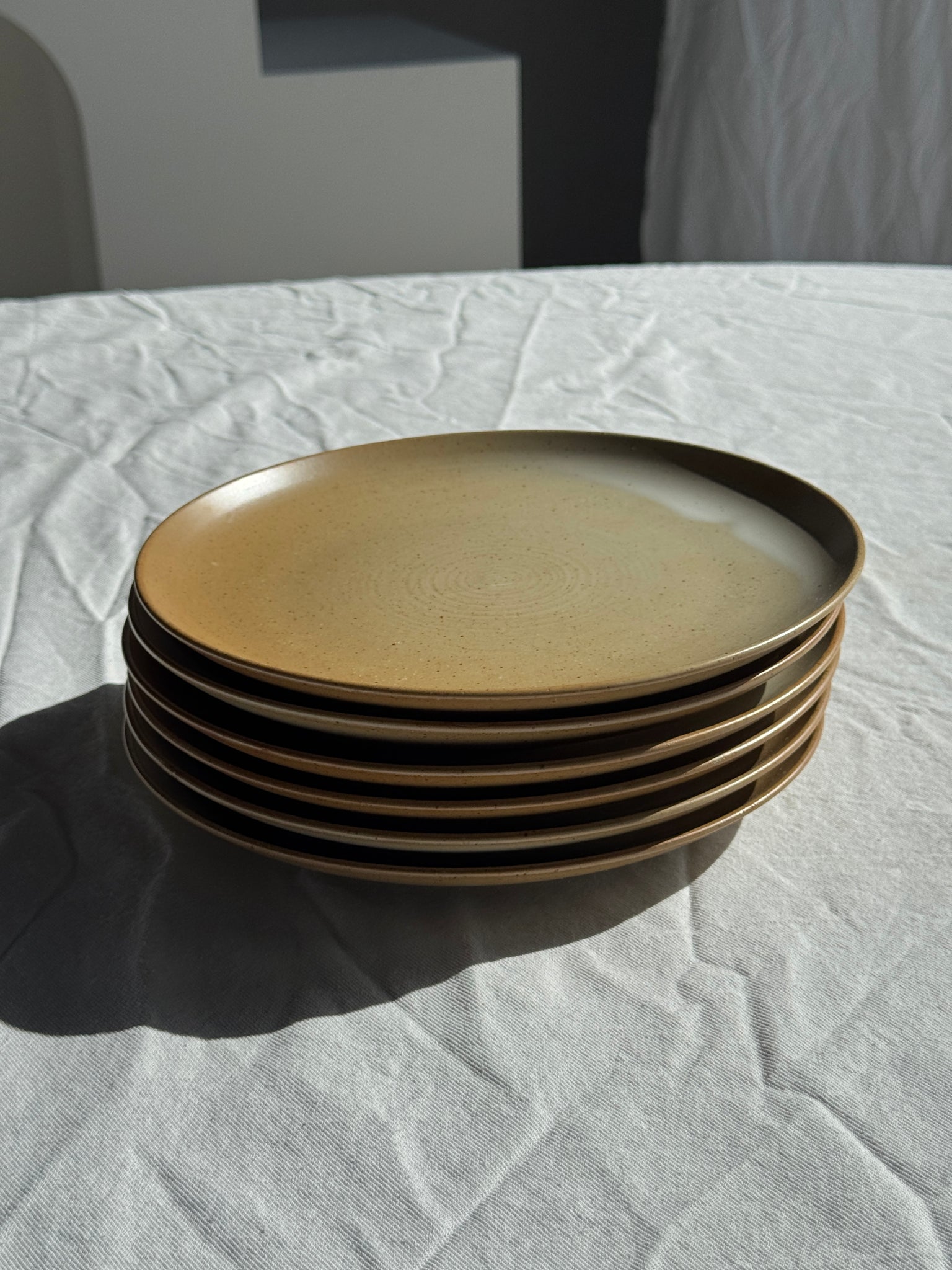 Lot de 6 assiettes en grès Village France D24