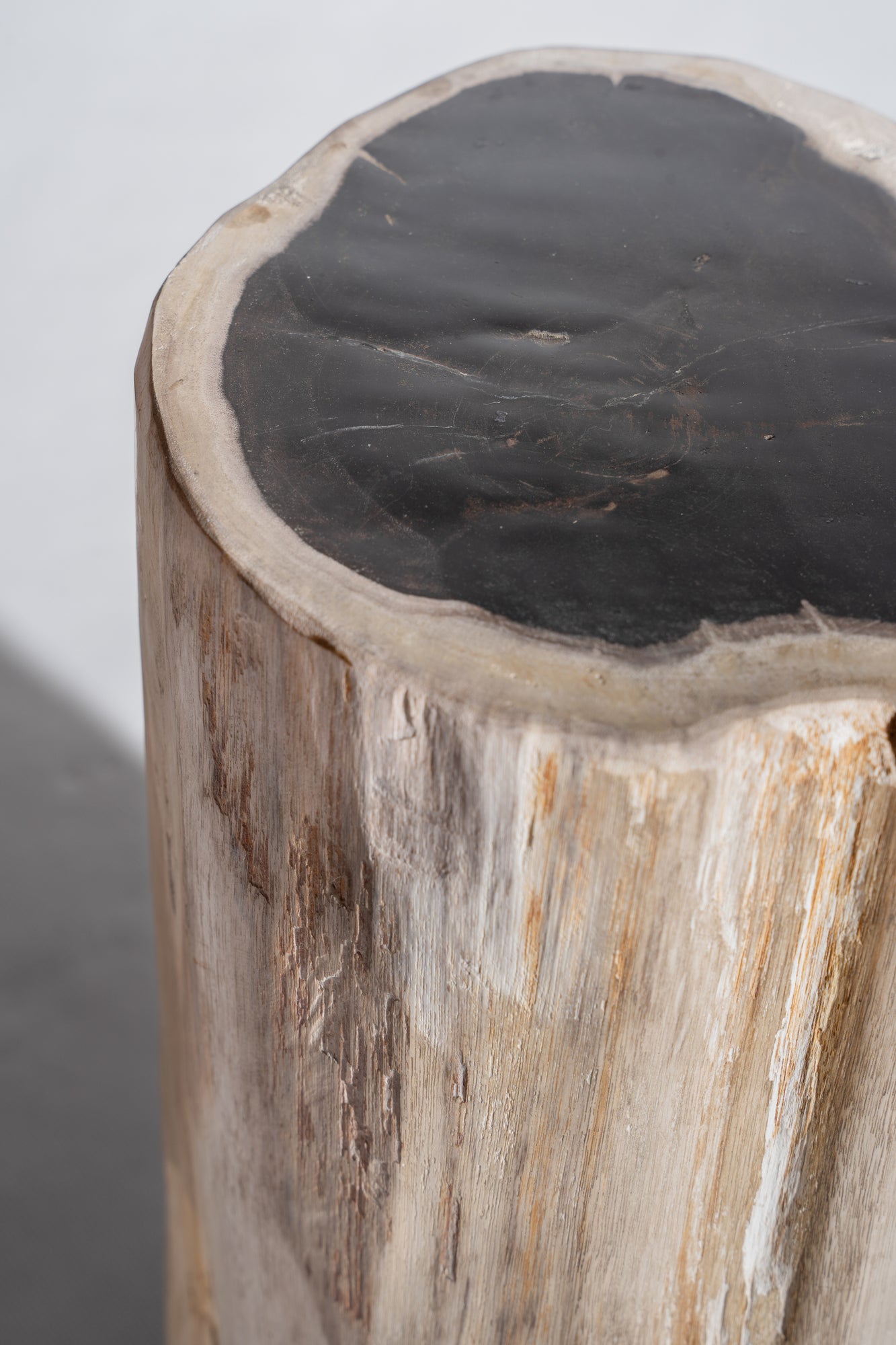 Table d'appoint en bois pétrifié tour blanc cœur noir H:36cm D:17cm