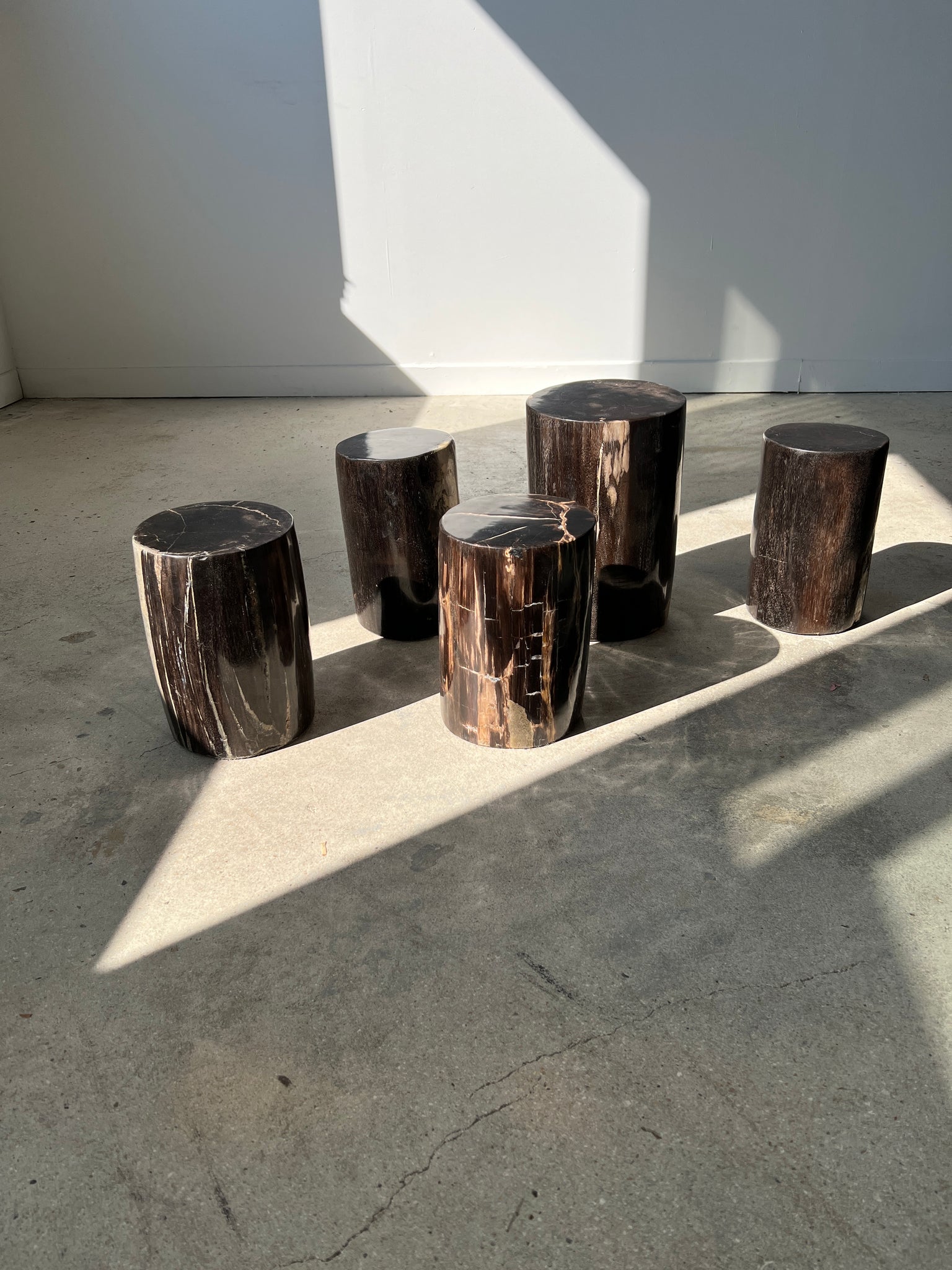 Table d'appoint en bois pétrifié noire H:34cm D:22cm