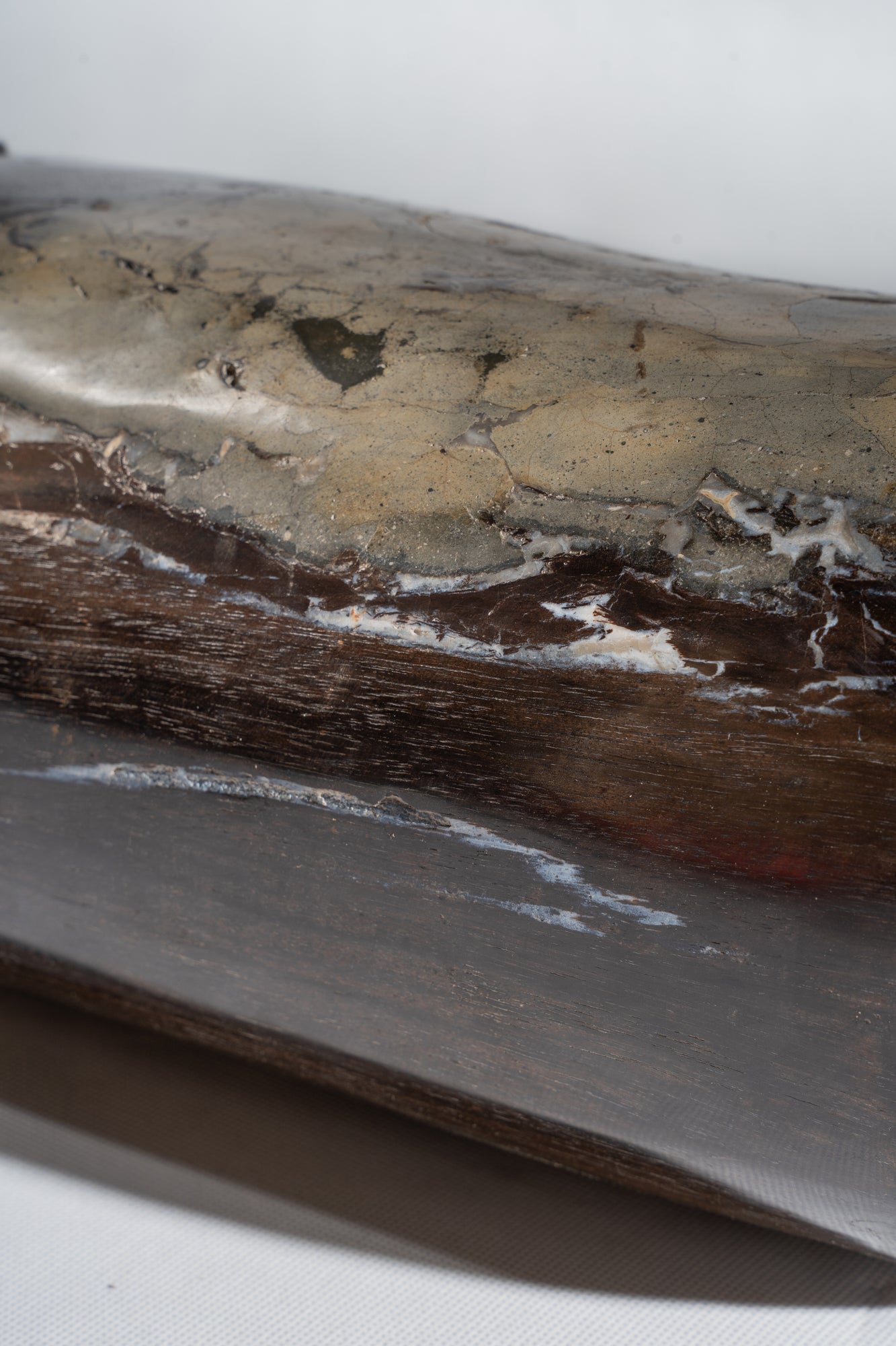 Petite table d'appoint en bois pétrifié noire H:27,5cm D:19cm