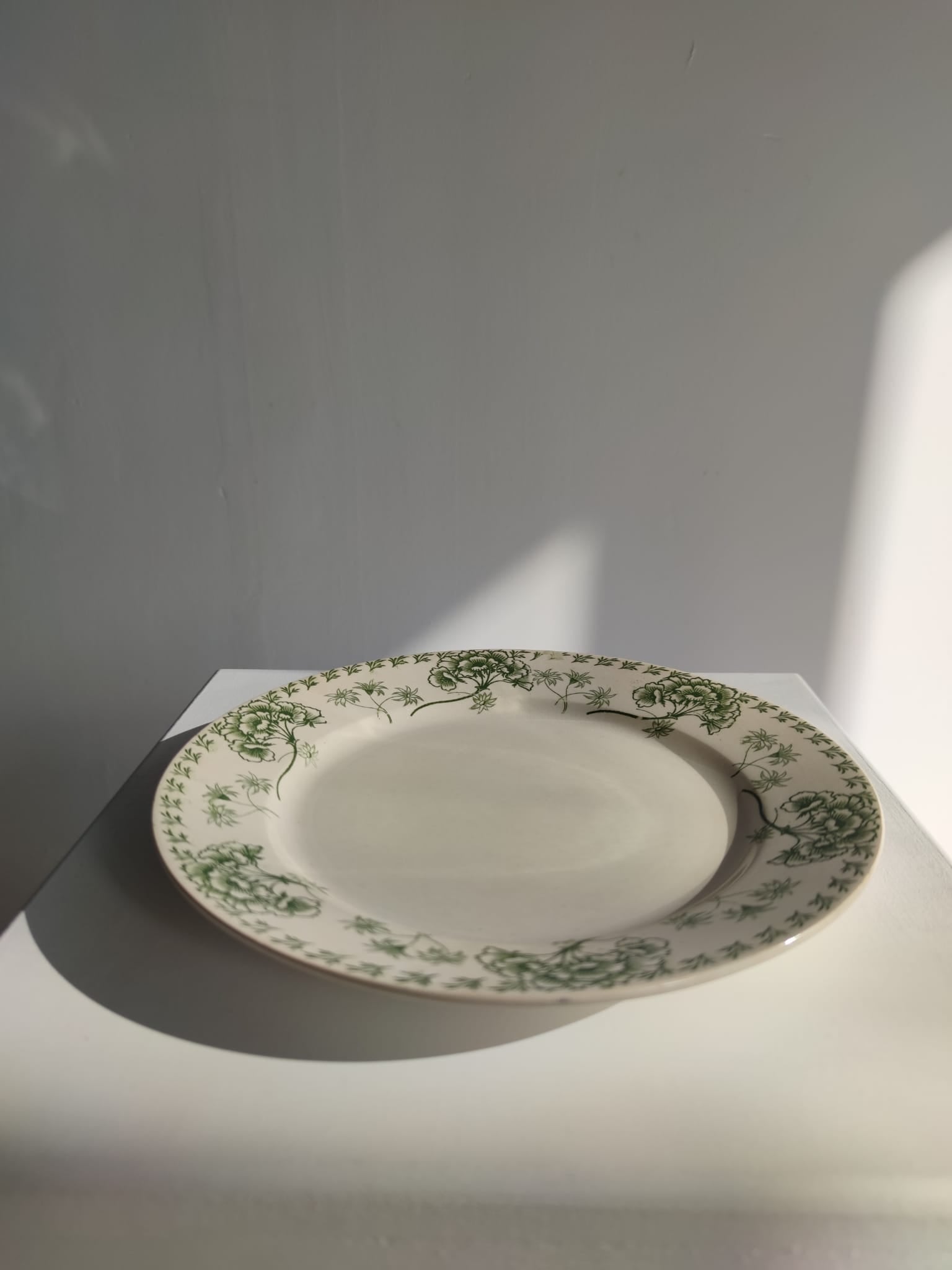 Série de 6 assiettes plates à décor floral vert Palmyre U&Cie Sarreguemines