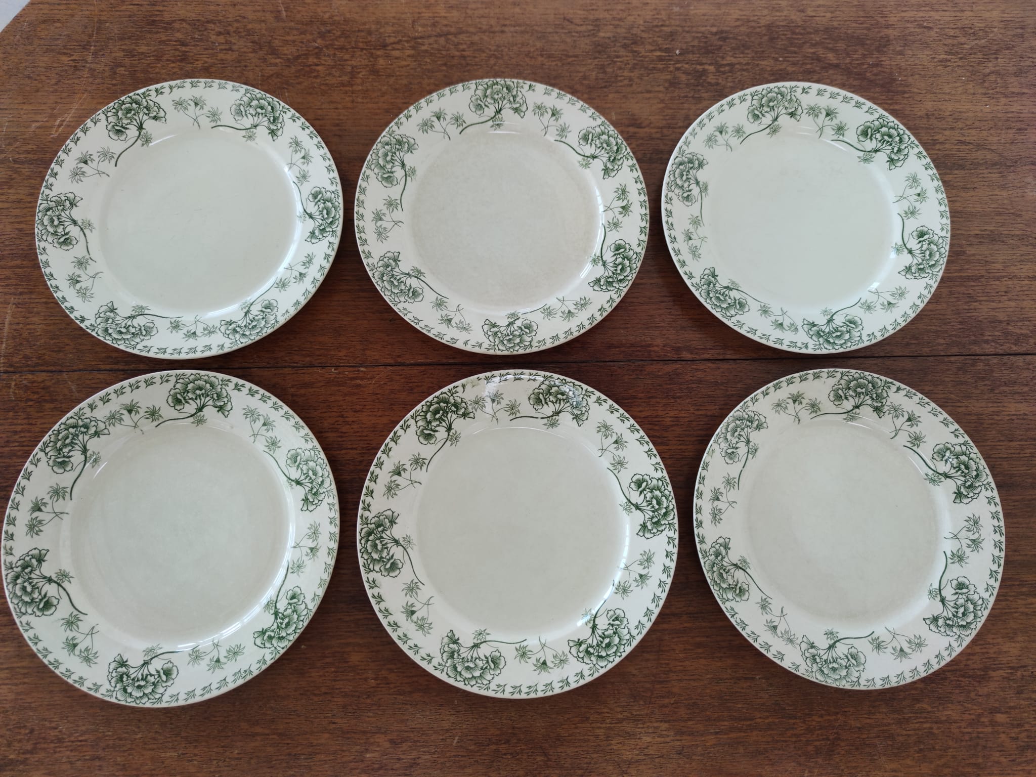 Série de 6 assiettes plates à décor floral vert Palmyre U&Cie Sarreguemines