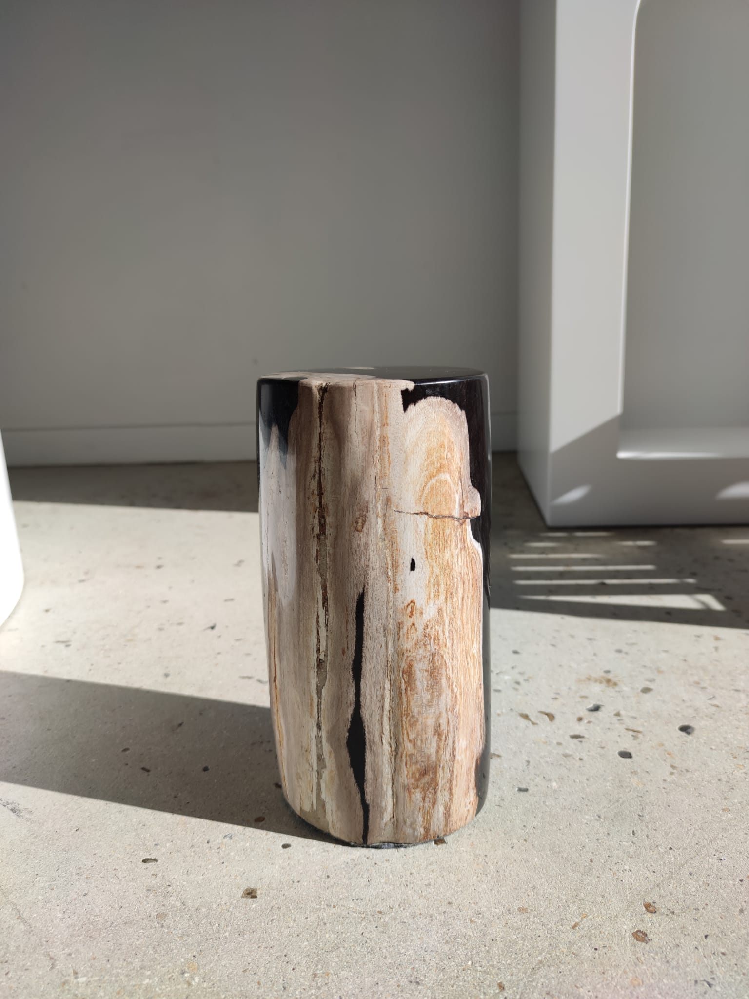 Petite table d'appoint en bois pétrifié
