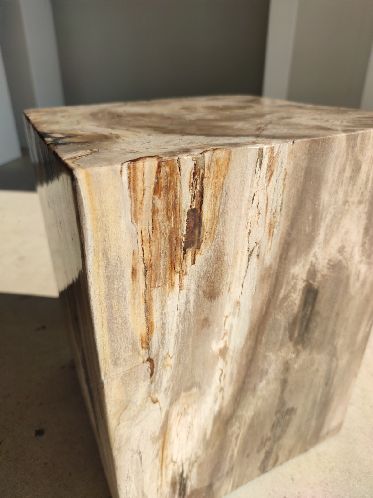 Table d'appoint en bois pétrifié rectangulaire clair